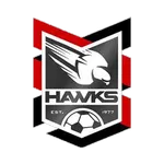 Escudo Holland Park Hawks