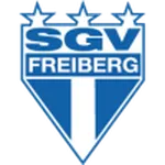 Escudo SGV Freiberg