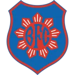 Escudo do Bonsucesso