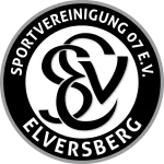 Escudo Elversberg U19