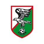 Escudo Sokół Kleczew