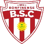 Escudo Botafogo BA