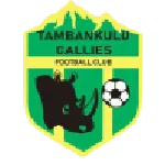 Escudo Tambankulu Callies