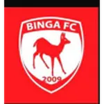 Escudo Binga
