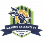 Escudo Marumo Gallants U23
