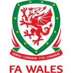 Escudo Wales W