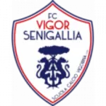 Escudo Vigor Senigallia