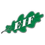 Escudo EIF