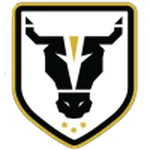 Escudo Bulls Academy