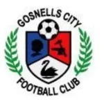 Escudo Gosnells City