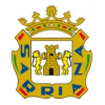 Escudo Sarriana