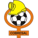 Escudo Cobresal