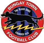 Escudo Bungay Town
