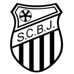 Escudo Bom Jesus EC