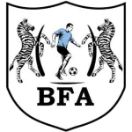 Escudo Black Lions