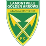 Escudo Golden Arrows