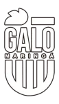 Escudo Galo Maringá U20