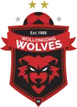 Escudo Wollongong Wolves U20
