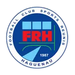 Escudo Haguenau