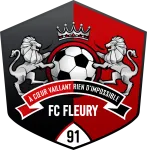 Escudo Fleury 91