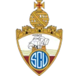 Escudo Vianense
