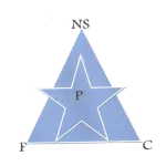 New Star