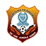 Escudo Police XI