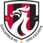 Escudo Guilsfield