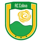 Escudo Colina