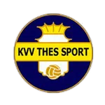 Escudo Thes Sport