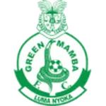 Escudo Green Mamba
