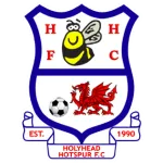 Escudo Holyhead Hotspur