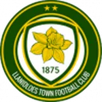 Escudo Llanidloes Town