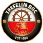 Escudo Trefelin