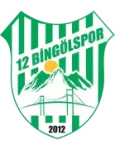 Escudo 12 Bingölspor