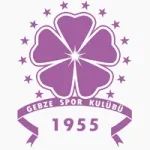 Escudo Güzide Gebzespor