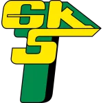 Escudo Górnik Łęczna