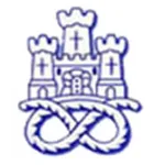 Escudo Newcastle Town
