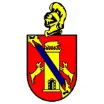 Escudo El Palmar