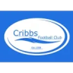 Escudo do Cribbs