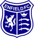 Escudo Enfield 1893