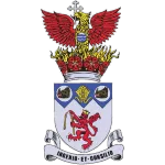 Escudo Irlam