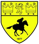 Escudo Newmarket Town
