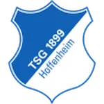 Escudo Hoffenheim II