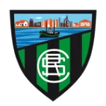 Escudo Sestao River