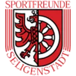 Escudo do Sp. Seligenstadt