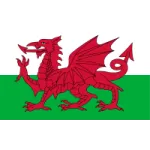 Wales U19 W