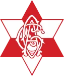 Escudo do Grazer (Am) (Aut)