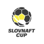 Escudo Cup
