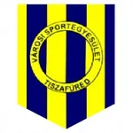 Escudo do Tiszafuredi VSE
